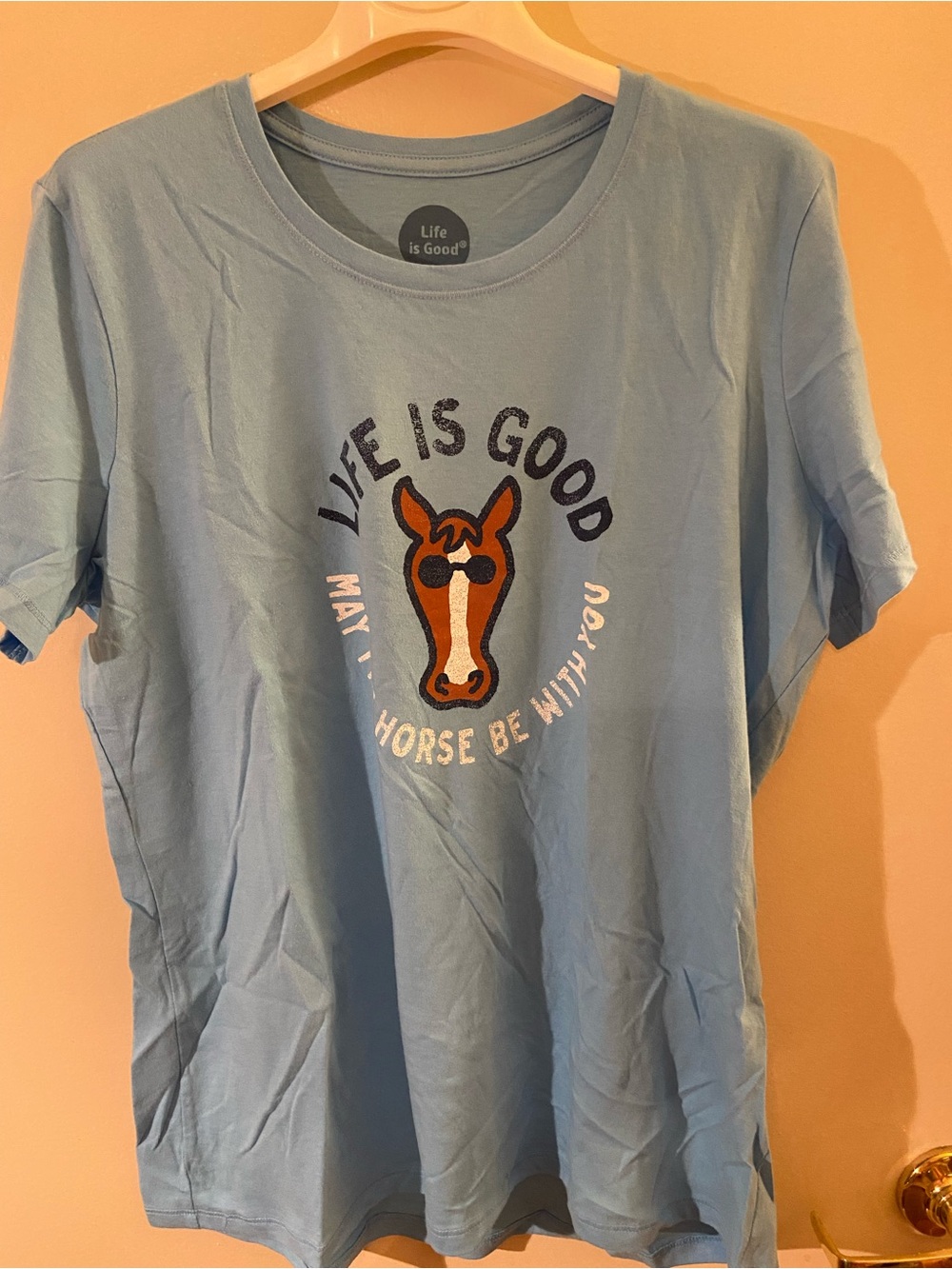 Life Is Good Women's Light Blue Crewneck Tee with Logo